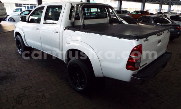 Tenga Tsaru Toyota Hilux Chena Mota in Harare in Harare Tenga Tsaru Toyota Hilux Chena Mota in Harare in Harare