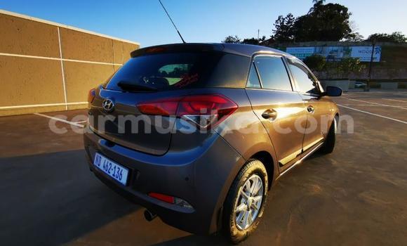 Tenga Tsaru Hyundai i20 Sirivha Mota in Beitbridge in Matabeleland South Tenga Tsaru Hyundai i20 Sirivha Mota in Beitbridge in Matabeleland South