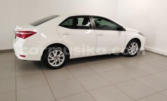 Buy Used Toyota Corolla White Car in Beitbridge in Matabeleland South