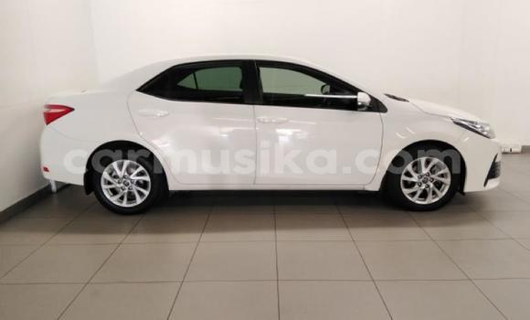 Acheter Occasion Voiture Toyota Corolla Blanc à Beitbridge, Matabeleland South Acheter Occasion Voiture Toyota Corolla Blanc à Beitbridge, Matabeleland South