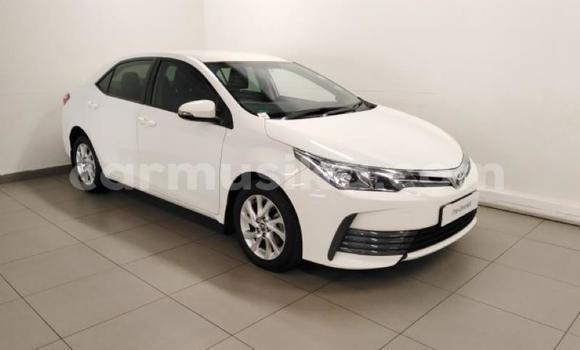 Acheter Occasion Voiture Toyota Corolla Blanc à Beitbridge, Matabeleland South Acheter Occasion Voiture Toyota Corolla Blanc à Beitbridge, Matabeleland South