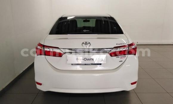 Acheter Occasion Voiture Toyota Corolla Blanc à Beitbridge, Matabeleland South Acheter Occasion Voiture Toyota Corolla Blanc à Beitbridge, Matabeleland South