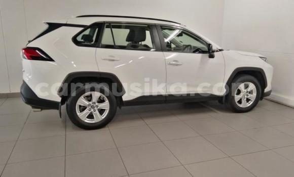 Nunua Ilio tumika Toyota RAV4 Nyeupe Gari ndani ya Beitbridge nchini Matabeleland Kusini