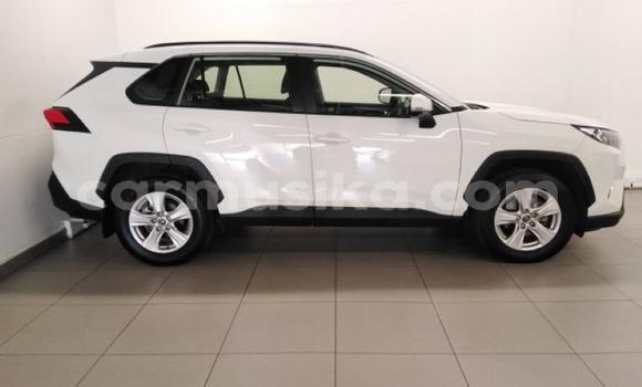 Nunua Ilio tumika Toyota RAV4 Nyeupe Gari ndani ya Beitbridge nchini Matabeleland Kusini Nunua Ilio tumika Toyota RAV4 Nyeupe Gari ndani ya Beitbridge nchini Matabeleland Kusini