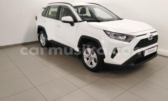 Nunua Ilio tumika Toyota RAV4 Nyeupe Gari ndani ya Beitbridge nchini Matabeleland Kusini Nunua Ilio tumika Toyota RAV4 Nyeupe Gari ndani ya Beitbridge nchini Matabeleland Kusini
