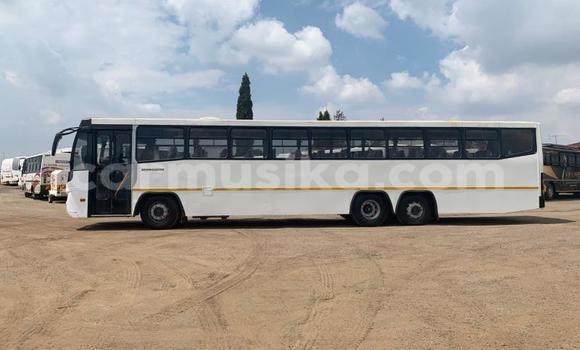 Tenga Tsaru Man D20 Chena Rori in Beitbridge in Matabeleland South Tenga Tsaru Man D20 Chena Rori in Beitbridge in Matabeleland South