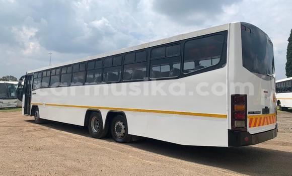 Tenga Tsaru Man D20 Chena Rori in Beitbridge in Matabeleland South Tenga Tsaru Man D20 Chena Rori in Beitbridge in Matabeleland South