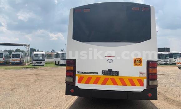 Tenga Tsaru Man D20 Chena Rori in Beitbridge in Matabeleland South Tenga Tsaru Man D20 Chena Rori in Beitbridge in Matabeleland South