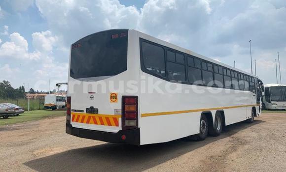 Tenga Tsaru Man D20 Chena Rori in Beitbridge in Matabeleland South Tenga Tsaru Man D20 Chena Rori in Beitbridge in Matabeleland South