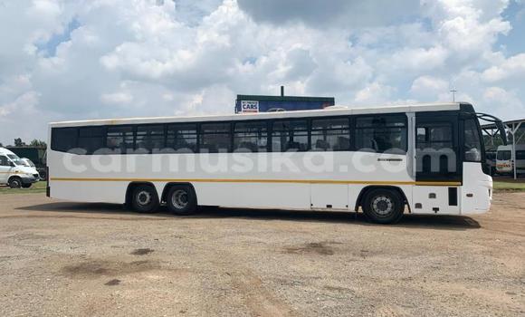 Tenga Tsaru Man D20 Chena Rori in Beitbridge in Matabeleland South Tenga Tsaru Man D20 Chena Rori in Beitbridge in Matabeleland South