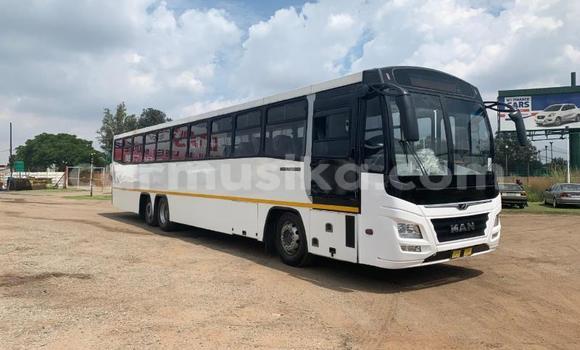 Tenga Tsaru Man D20 Chena Rori in Beitbridge in Matabeleland South Tenga Tsaru Man D20 Chena Rori in Beitbridge in Matabeleland South