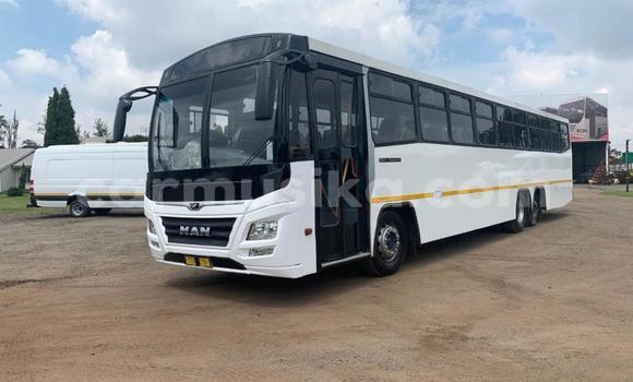 Tenga Tsaru Man D20 Chena Rori in Beitbridge in Matabeleland South Tenga Tsaru Man D20 Chena Rori in Beitbridge in Matabeleland South