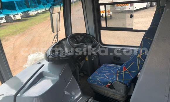 Tenga Tsaru Man D20 Chena Rori in Beitbridge in Matabeleland South Tenga Tsaru Man D20 Chena Rori in Beitbridge in Matabeleland South