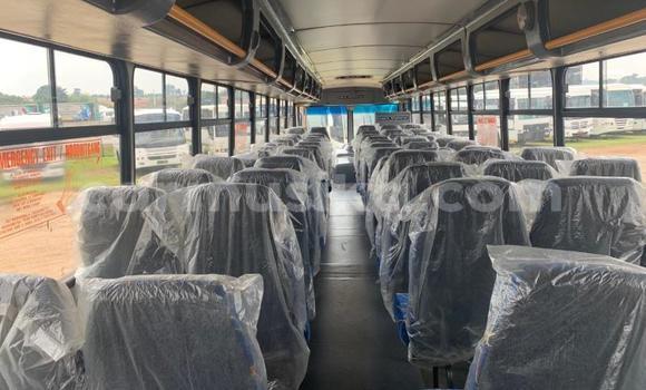 Tenga Tsaru Man D20 Chena Rori in Beitbridge in Matabeleland South Tenga Tsaru Man D20 Chena Rori in Beitbridge in Matabeleland South