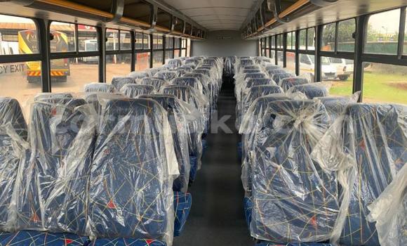 Tenga Tsaru Man D20 Chena Rori in Beitbridge in Matabeleland South Tenga Tsaru Man D20 Chena Rori in Beitbridge in Matabeleland South