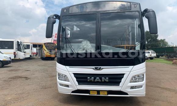 Tenga Tsaru Man D20 Chena Rori in Beitbridge in Matabeleland South Tenga Tsaru Man D20 Chena Rori in Beitbridge in Matabeleland South