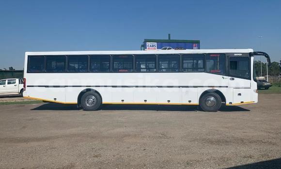 Acheter Occasion Utilitaire Hino 300 Series Blanc à Beitbridge, Matabeleland South Acheter Occasion Utilitaire Hino 300 Series Blanc à Beitbridge, Matabeleland South