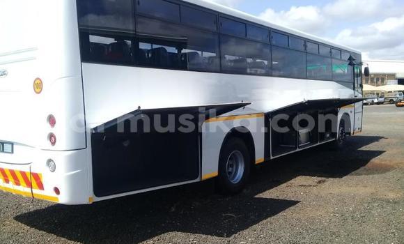 Acheter Occasion Utilitaire Man Silent Blanc à Beitbridge, Matabeleland South Acheter Occasion Utilitaire Man Silent Blanc à Beitbridge, Matabeleland South