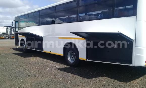 Acheter Occasion Utilitaire Man Silent Blanc à Beitbridge, Matabeleland South Acheter Occasion Utilitaire Man Silent Blanc à Beitbridge, Matabeleland South