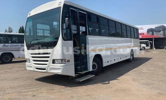 Tenga Tsaru Man Silent Chena Rori in Beitbridge in Matabeleland South Tenga Tsaru Man Silent Chena Rori in Beitbridge in Matabeleland South