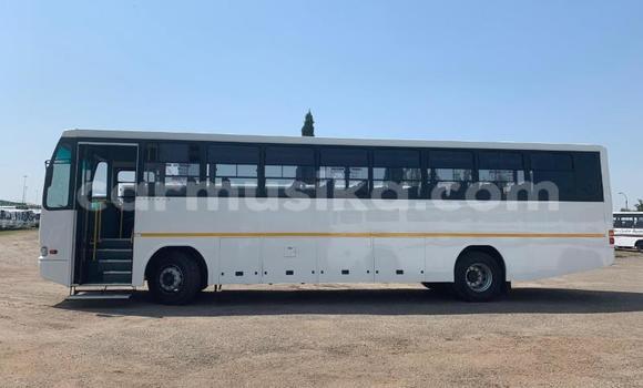 Tenga Tsaru Man Silent Chena Rori in Beitbridge in Matabeleland South Tenga Tsaru Man Silent Chena Rori in Beitbridge in Matabeleland South