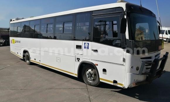 Tenga Tsaru Man Silent Chena Rori in Beitbridge in Matabeleland South Tenga Tsaru Man Silent Chena Rori in Beitbridge in Matabeleland South