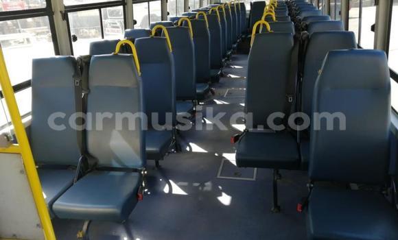 Tenga Tsaru Man Silent Chena Rori in Beitbridge in Matabeleland South Tenga Tsaru Man Silent Chena Rori in Beitbridge in Matabeleland South