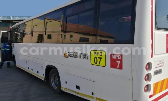 Tenga Tsaru Man Silent Chena Rori in Beitbridge in Matabeleland South Tenga Tsaru Man Silent Chena Rori in Beitbridge in Matabeleland South