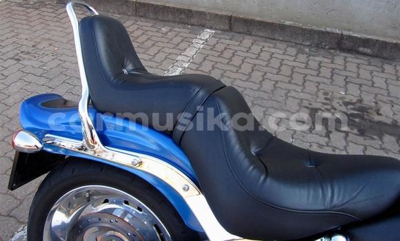 Buy Used Harley Davidson Softail Blue Bike in Beitbridge in Matabeleland South Buy Used Harley Davidson Softail Blue Bike in Beitbridge in Matabeleland South