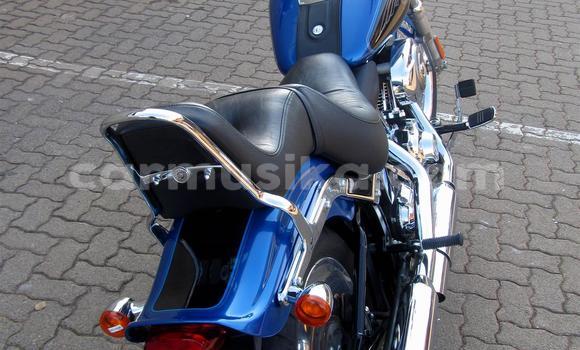 Buy Used Harley Davidson Softail Blue Bike in Beitbridge in Matabeleland South Buy Used Harley Davidson Softail Blue Bike in Beitbridge in Matabeleland South