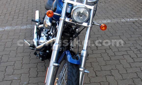 Buy Used Harley Davidson Softail Blue Bike in Beitbridge in Matabeleland South Buy Used Harley Davidson Softail Blue Bike in Beitbridge in Matabeleland South
