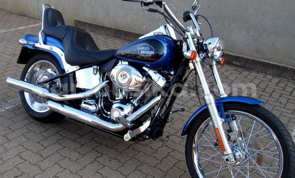Buy Used Harley Davidson Softail Blue Bike in Beitbridge in Matabeleland South Buy Used Harley Davidson Softail Blue Bike in Beitbridge in Matabeleland South