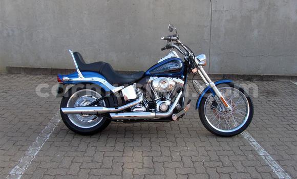 Buy Used Harley Davidson Softail Blue Bike in Beitbridge in Matabeleland South Buy Used Harley Davidson Softail Blue Bike in Beitbridge in Matabeleland South