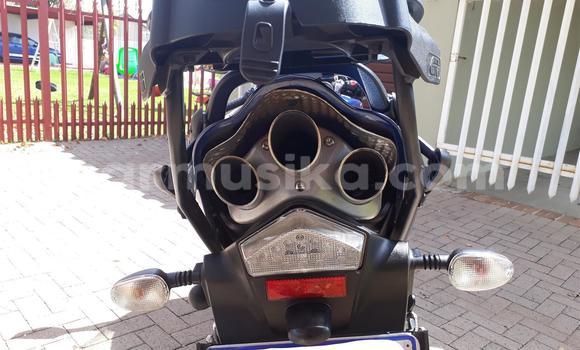 Acheter Occasion Moto Triumph Sprint Bleu à Beitbridge, Matabeleland South Acheter Occasion Moto Triumph Sprint Bleu à Beitbridge, Matabeleland South