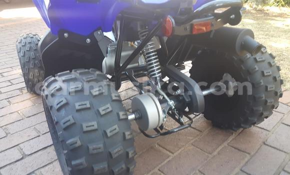 Acheter Occasion Moto Yamaha C3 Bleu à Beitbridge, Matabeleland South Acheter Occasion Moto Yamaha C3 Bleu à Beitbridge, Matabeleland South