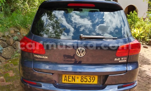 Tenga Tsaru Volkswagen Tiguan Bhuruu Mota in Harare in Harare