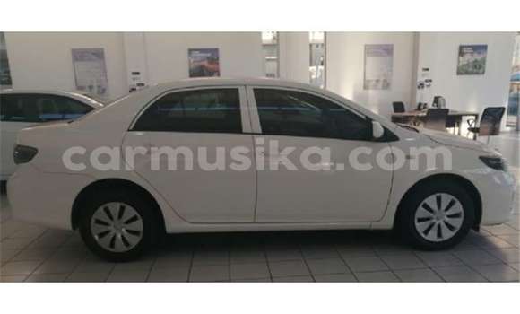 Buy Used Toyota Corolla White Car in Beitbridge in Matabeleland South