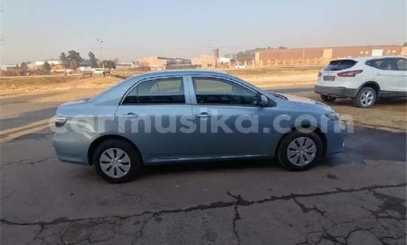 Buy Used Toyota Corolla Blue Car in Beitbridge in Matabeleland South