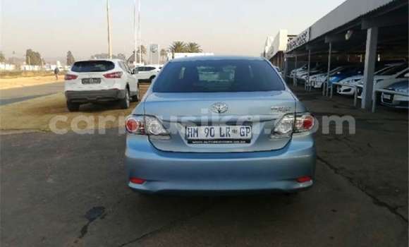Buy Used Toyota Corolla Blue Car in Beitbridge in Matabeleland South Buy Used Toyota Corolla Blue Car in Beitbridge in Matabeleland South