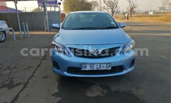 Buy Used Toyota Corolla Blue Car in Beitbridge in Matabeleland South Buy Used Toyota Corolla Blue Car in Beitbridge in Matabeleland South