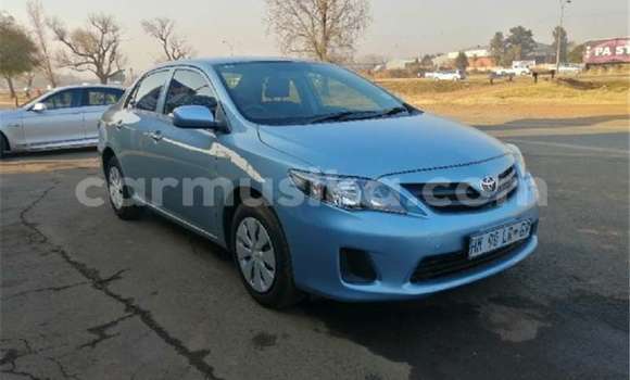Buy Used Toyota Corolla Blue Car in Beitbridge in Matabeleland South Buy Used Toyota Corolla Blue Car in Beitbridge in Matabeleland South