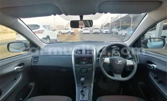 Buy Used Toyota Corolla Blue Car in Beitbridge in Matabeleland South Buy Used Toyota Corolla Blue Car in Beitbridge in Matabeleland South