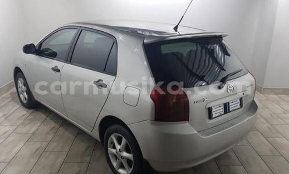 Buy Used Toyota Runx Silver Car in Avondale in Harare Buy Used Toyota Runx Silver Car in Avondale in Harare