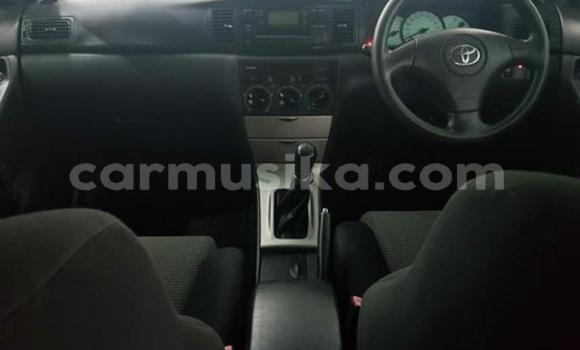 Buy Used Toyota Runx Silver Car in Avondale in Harare Buy Used Toyota Runx Silver Car in Avondale in Harare