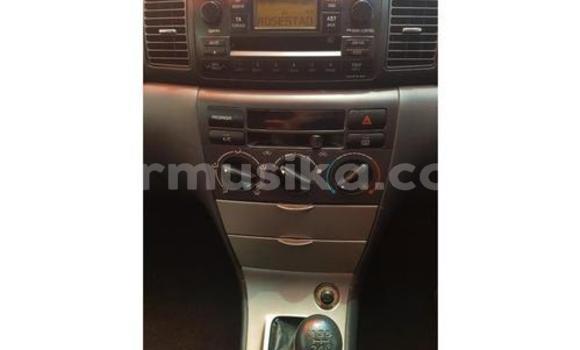 Buy Used Toyota Runx Silver Car in Avondale in Harare Buy Used Toyota Runx Silver Car in Avondale in Harare