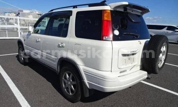 Buy Used Honda CR–V White Car in Beitbridge in Matabeleland South Buy Used Honda CR–V White Car in Beitbridge in Matabeleland South