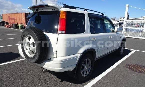 Buy Used Honda CR–V White Car in Beitbridge in Matabeleland South Buy Used Honda CR–V White Car in Beitbridge in Matabeleland South
