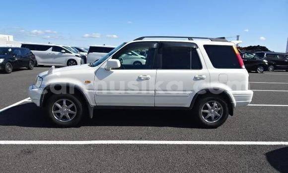 Buy Used Honda CR–V White Car in Beitbridge in Matabeleland South Buy Used Honda CR–V White Car in Beitbridge in Matabeleland South