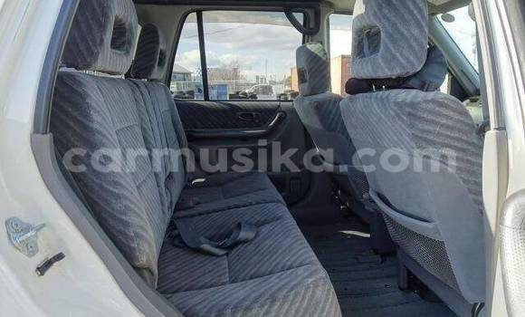 Buy Used Honda CR–V White Car in Beitbridge in Matabeleland South Buy Used Honda CR–V White Car in Beitbridge in Matabeleland South
