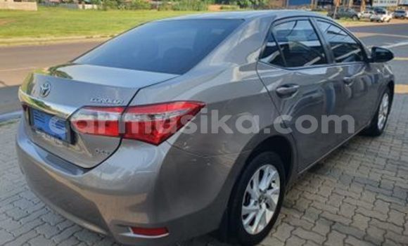 Nunua Ilio tumika Toyota Corolla II Fedha Gari ndani ya Harare nchini Harare Nunua Ilio tumika Toyota Corolla II Fedha Gari ndani ya Harare nchini Harare
